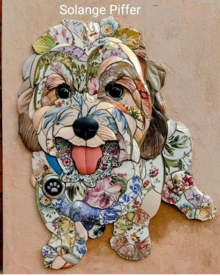 pet portrait dog