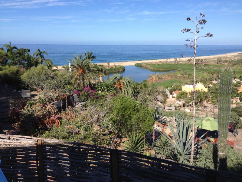 Todos Santos Mosaic Art Retreat