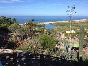 Under the Baja Sun