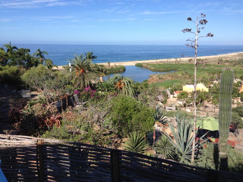 Under the Baja Sun